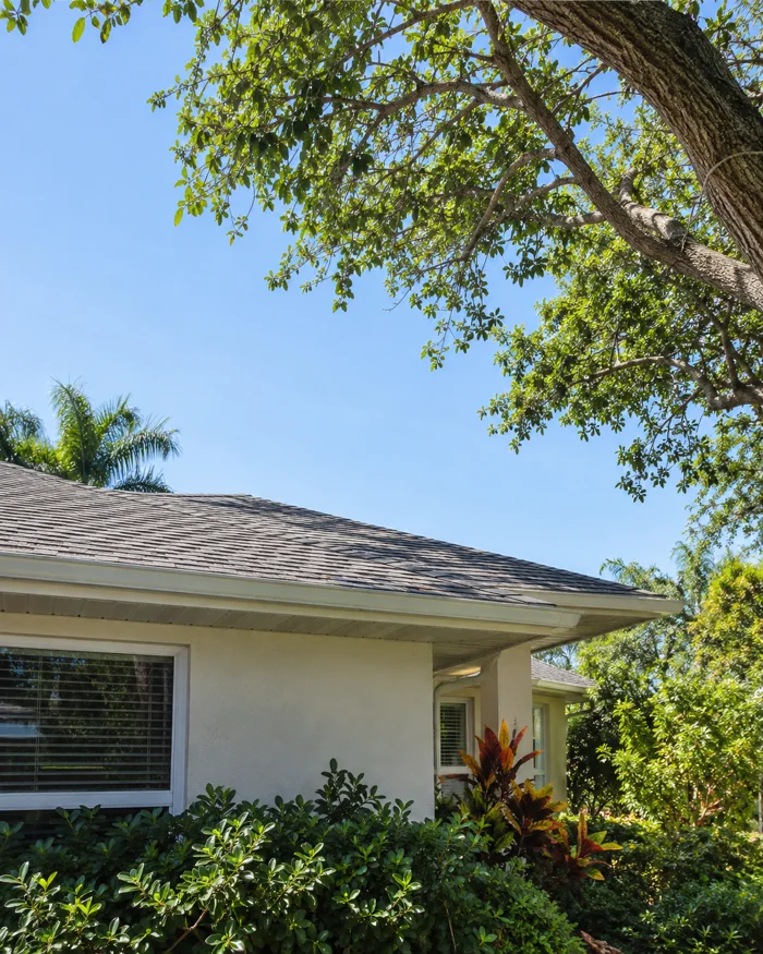 A roof with the overhanging limbs cut back